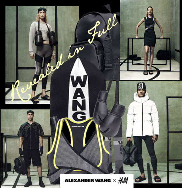 H&M x Alexander Wang Sports Bra Crop Top Size 10