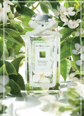 Jo Malone Osmanthus Blossom | Sandra‘s Closet