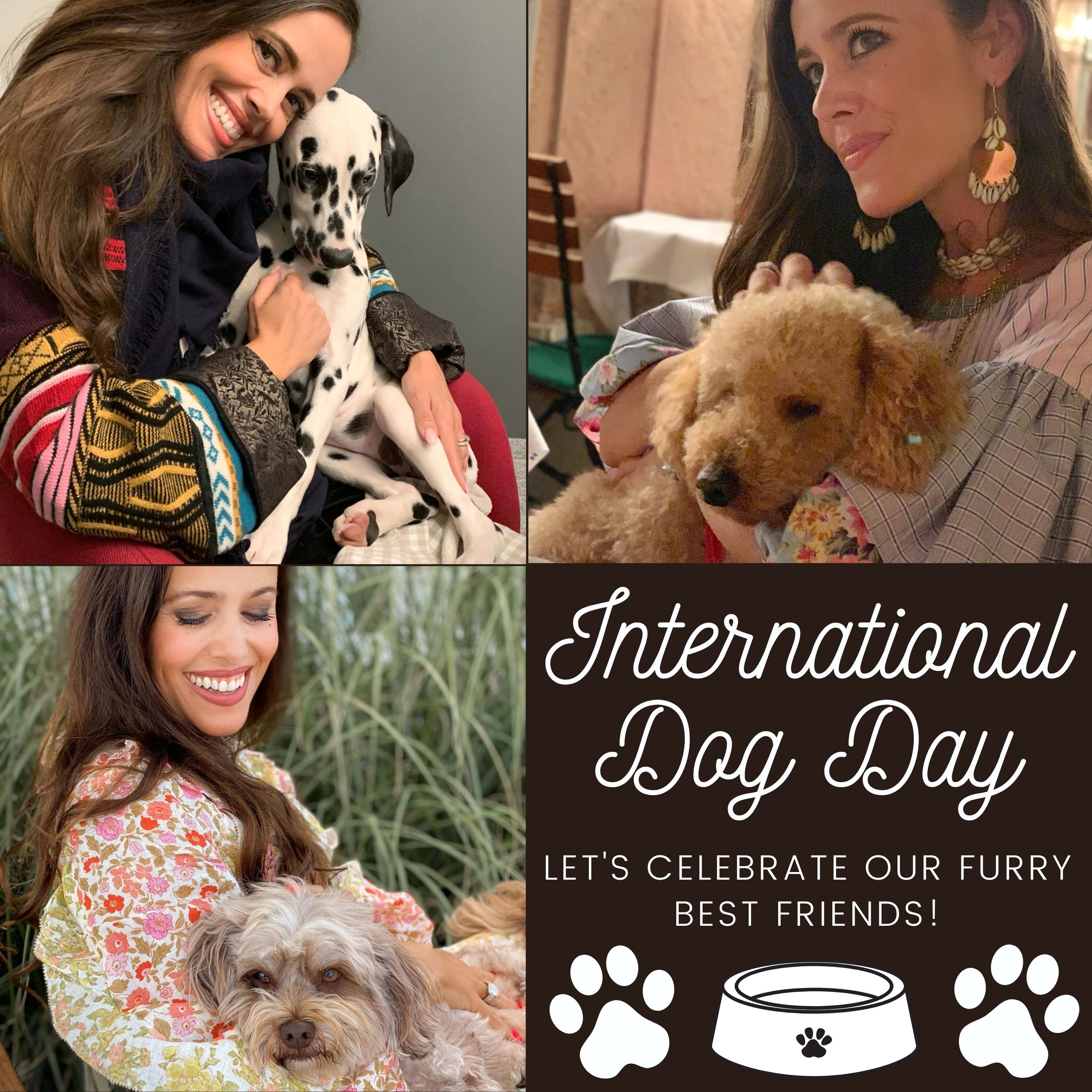 Best International Dog Day Products